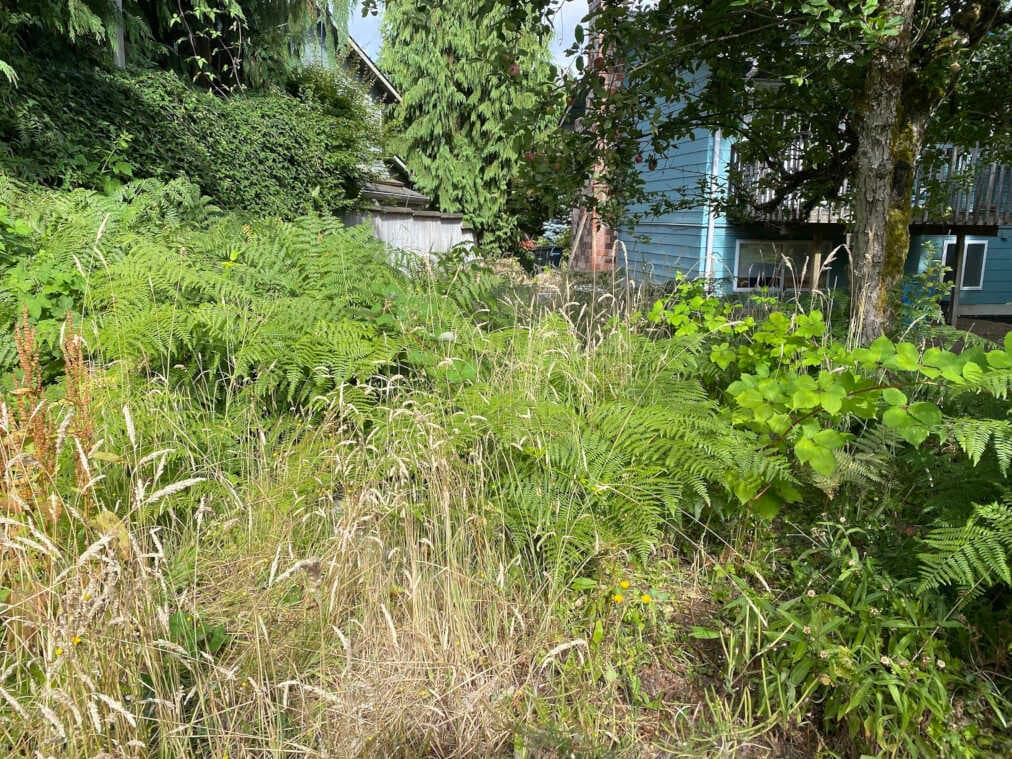 Lost among weeds