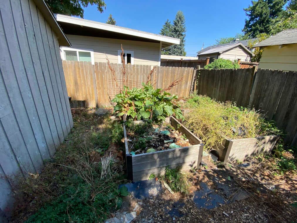 Weeds around